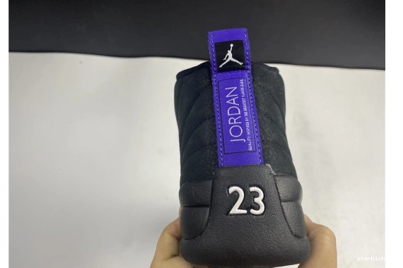 CT8013-005 12 Dark CT8013-005 Concord Air Black Jordan Retro 1031
